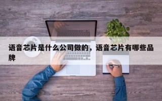 语音芯片是什么公司做的，语音芯片有哪些品牌