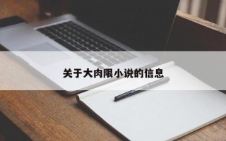 关于大肉限小说的信息