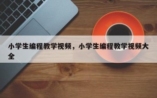 小学生编程教学视频，小学生编程教学视频大全