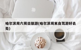 哈尔滨周六周日旅游(哈尔滨周末自驾游好去处)