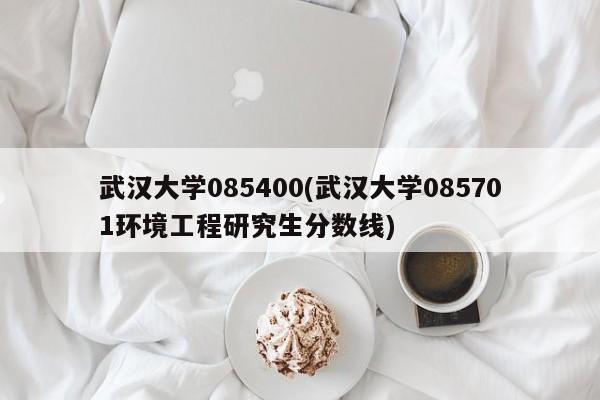 武汉大学085400(武汉大学085701环境工程研究生分数线)