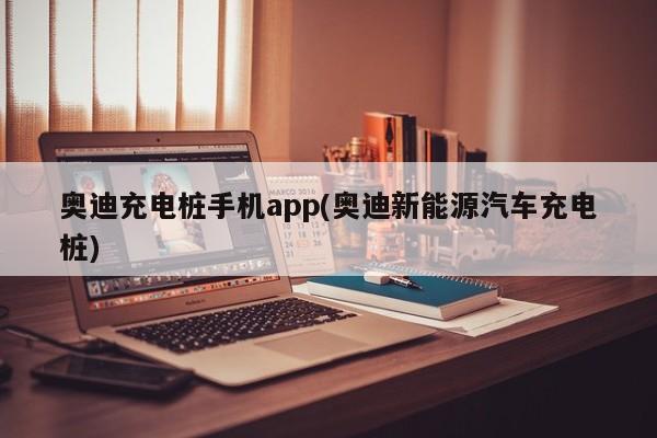 奥迪充电桩手机app(奥迪新能源汽车充电桩)