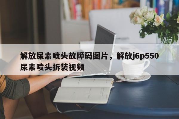 解放尿素喷头故障码图片,解放j6p550尿素喷头拆装视频